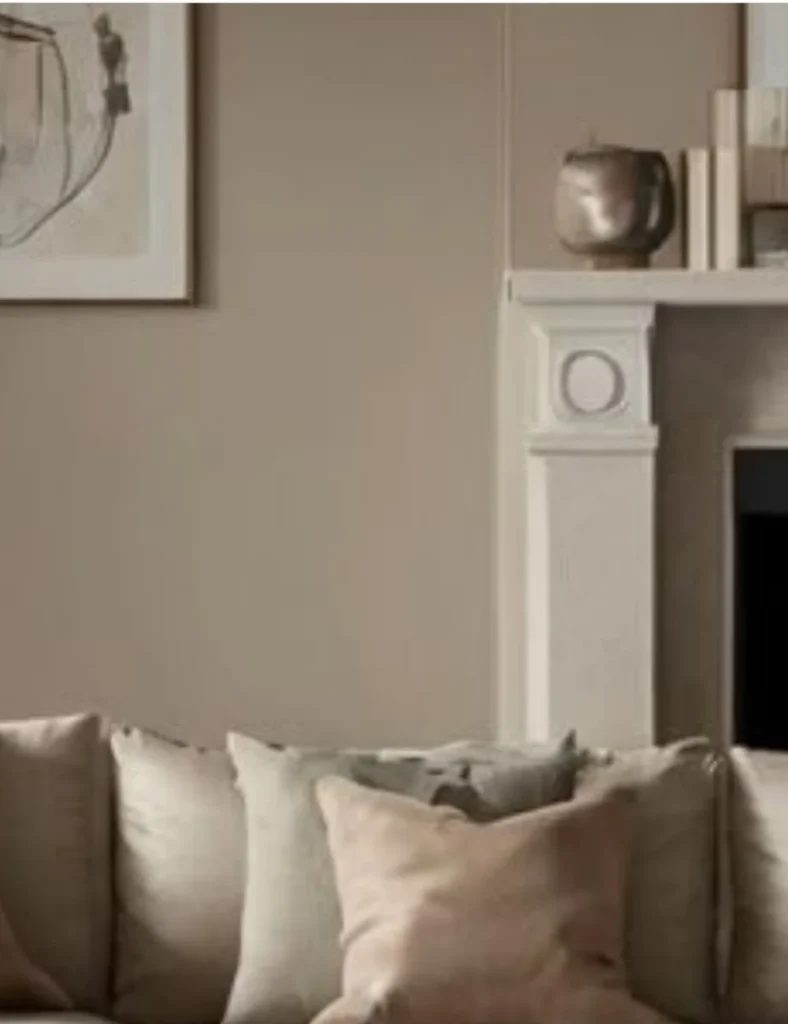 ASHEN TAN 996 – NEUTRAL SOPHISTICATION FOR 2025! neutral sophistication