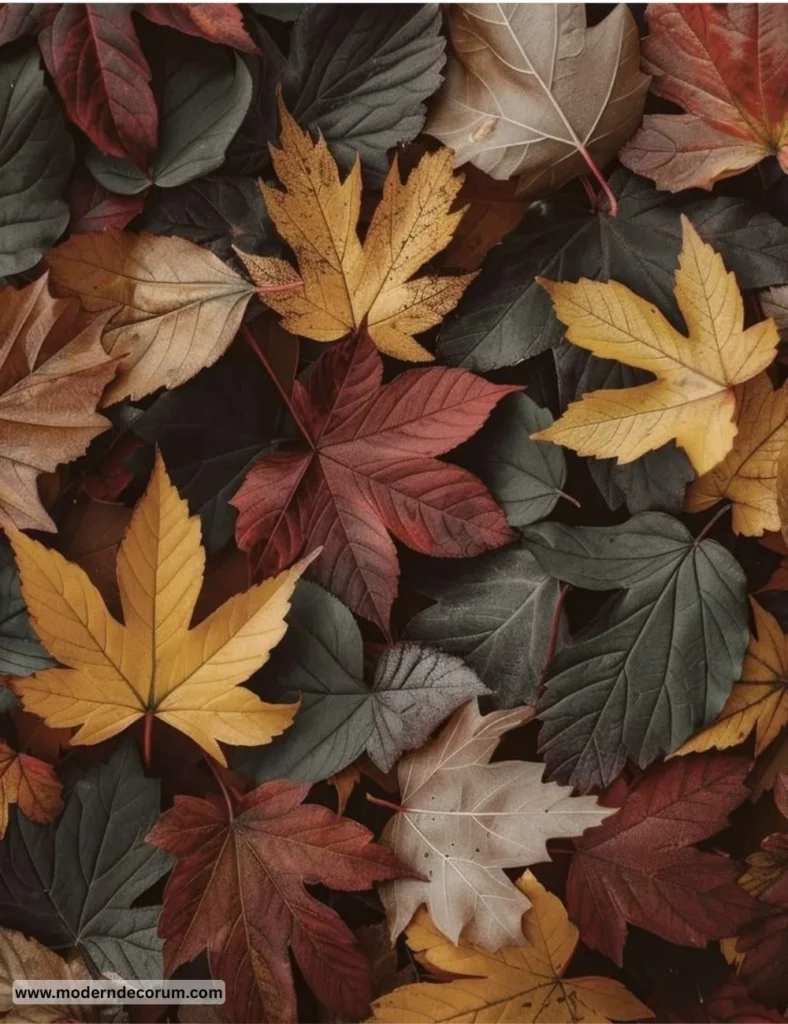 AUTUMN LEAVES FREE MOBILE FALL WALLPAPER Autumn leaves fall wallpaper for mobile devices, vibrant colors of the season.