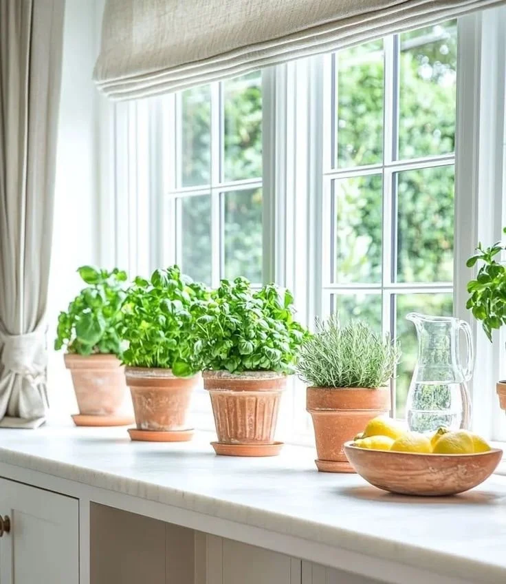 15 Organic Modern Kitchen Inspirations You'll Love Beautiful organic modern kitchen inspirations showcasing sleek design and natural materials.