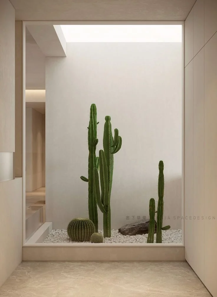 Indoor cactus decor ideas for a modern desert oasis